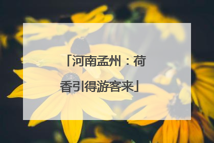河南孟州：荷香引得游客来