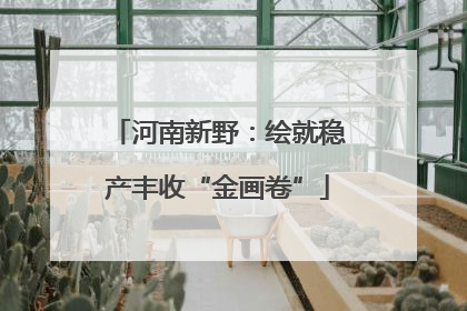 河南新野：绘就稳产丰收“金画卷”