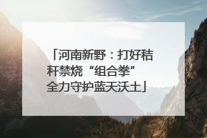 河南新野：打好秸秆禁烧“组合拳” 全力守护蓝天沃土