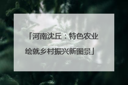 河南沈丘：特色农业绘就乡村振兴新图景