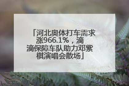 河北奥体打车需求涨966.1%，滴滴保障车队助力邓紫棋演唱会散场