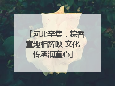 河北辛集：粽香童趣相辉映 文化传承润童心