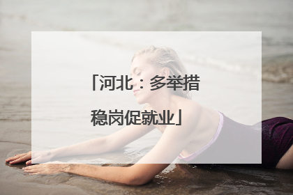 河北：多举措稳岗促就业