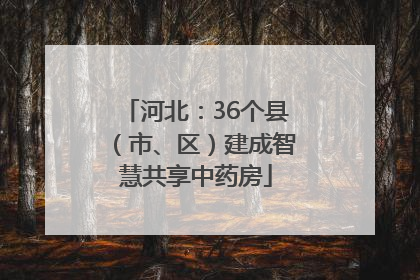 河北：36个县（市、区）建成智慧共享中药房