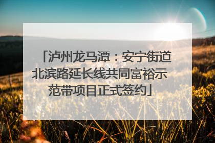 泸州龙马潭：安宁街道北滨路延长线共同富裕示范带项目正式签约