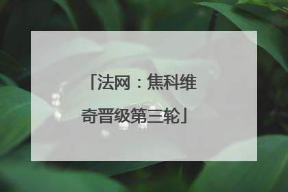 法网：焦科维奇晋级第三轮