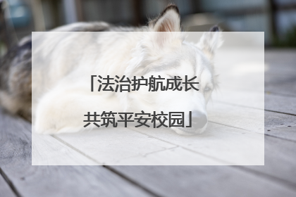 法治护航成长 共筑平安校园