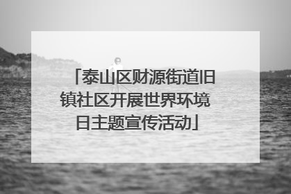 泰山区财源街道旧镇社区开展世界环境日主题宣传活动