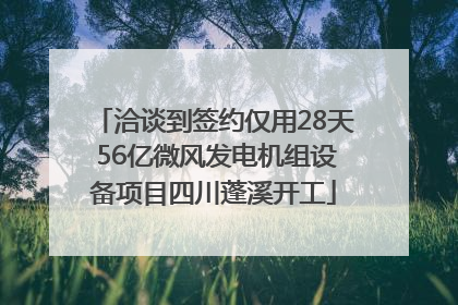 洽谈到签约仅用28天 56亿微风发电机组设备项目四川蓬溪开工
