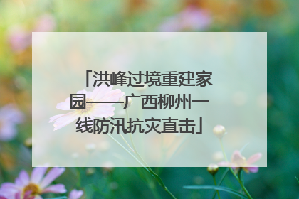 洪峰过境重建家园——广西柳州一线防汛抗灾直击