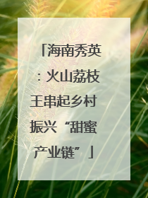 海南秀英：火山荔枝王串起乡村振兴“甜蜜产业链”