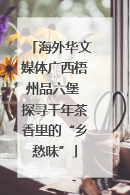 海外华文媒体广西梧州品六堡 探寻千年茶香里的“乡愁味”