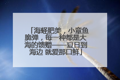 海蛏肥美，小章鱼脆弹，每一种都是大海的馈赠——夏日到海边 就爱那口鲜