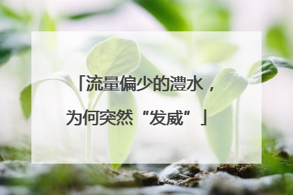 流量偏少的澧水，为何突然“发威”