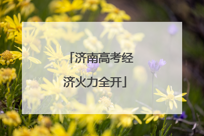 济南高考经济火力全开