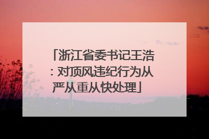 浙江省委书记王浩：对顶风违纪行为从严从重从快处理