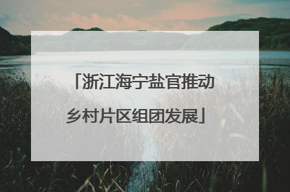 浙江海宁盐官推动乡村片区组团发展
