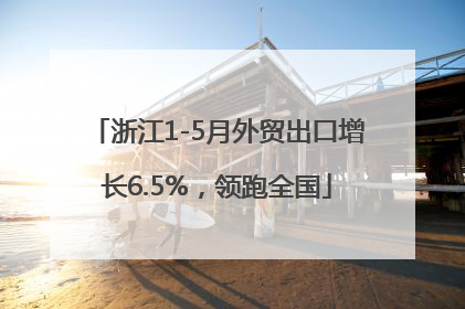 浙江1-5月外贸出口增长6.5%，领跑全国