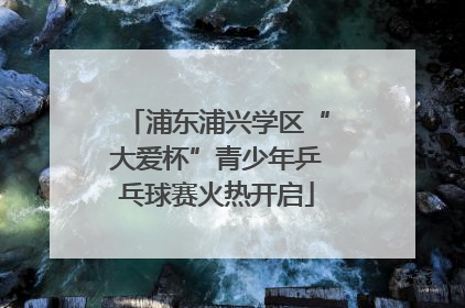 浦东浦兴学区“大爱杯”青少年乒乓球赛火热开启