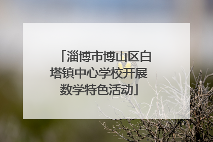 淄博市博山区白塔镇中心学校开展数学特色活动