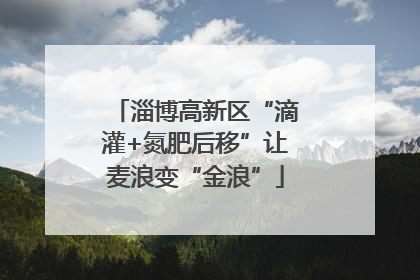 淄博高新区“滴灌+氮肥后移”让麦浪变“金浪”