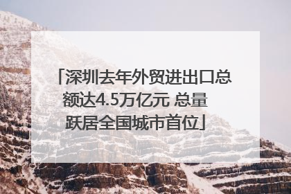 深圳去年外贸进出口总额达4.5万亿元 总量跃居全国城市首位