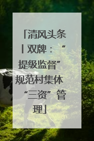 清风头条丨双牌：“提级监督”规范村集体“三资”管理