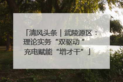 清风头条｜武陵源区：理论实务“双驱动 ” 充电赋能“增才干”