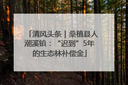 清风头条｜桑植县人潮溪镇：“迟到”5年的生态林补偿金