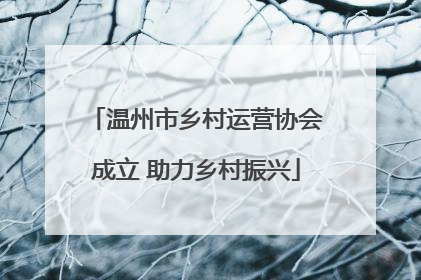温州市乡村运营协会成立 助力乡村振兴