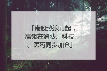 港股热浪再起，高瓴在消费、科技、医药同步加仓