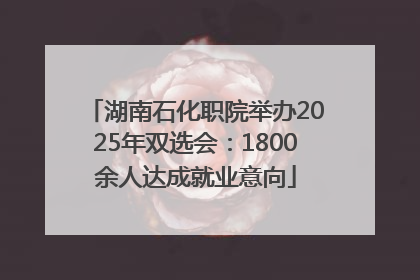 湖南石化职院举办2025年双选会：1800余人达成就业意向