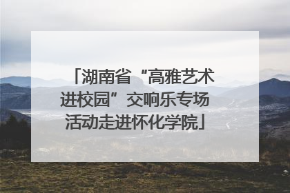 湖南省“高雅艺术进校园”交响乐专场活动走进怀化学院