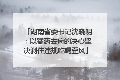 湖南省委书记沈晓明：以猛药去疴的决心坚决刹住违规吃喝歪风
