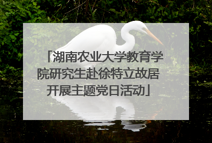 湖南农业大学教育学院研究生赴徐特立故居开展主题党日活动