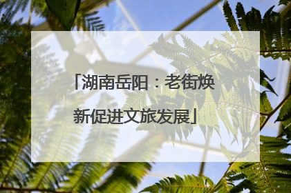 湖南岳阳：老街焕新促进文旅发展