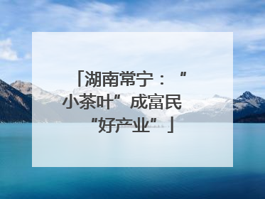 湖南常宁：“小茶叶”成富民“好产业”