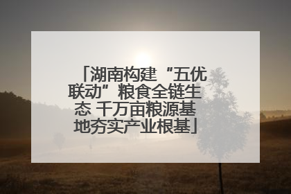 湖南构建“五优联动”粮食全链生态 千万亩粮源基地夯实产业根基