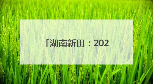 湖南新田：2025年高考首场考试结束 考生有序走出考场（组图）