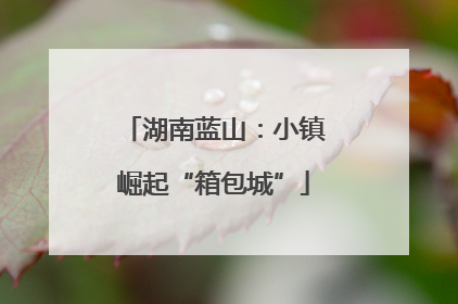 湖南蓝山：小镇崛起“箱包城”