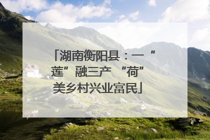 湖南衡阳县：一“莲”融三产 “荷”美乡村兴业富民