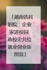 湖南铁科职院：企业家进校园 政校企共绘就业创业新图景