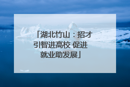 湖北竹山：招才引智进高校 促进就业助发展
