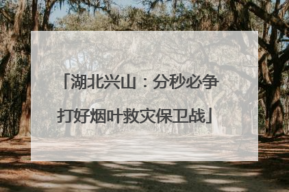 湖北兴山：分秒必争 打好烟叶救灾保卫战