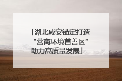湖北咸安锚定打造“营商环境首善区”助力高质量发展
