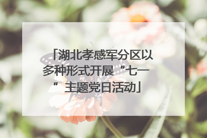 湖北孝感军分区以多种形式开展“七一”主题党日活动