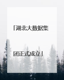 湖北大数据集团正式成立