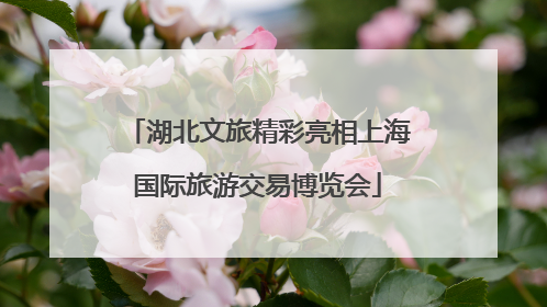 湖北文旅精彩亮相上海国际旅游交易博览会