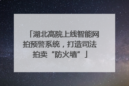 湖北高院上线智能网拍预警系统，打造司法拍卖“防火墙”