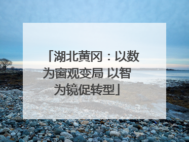 湖北黄冈：以数为窗观变局 以智为镜促转型